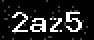 verify code
