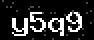 verify code
