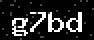 verify code
