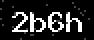 verify code