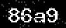 verify code