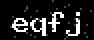 verify code