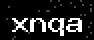 verify code